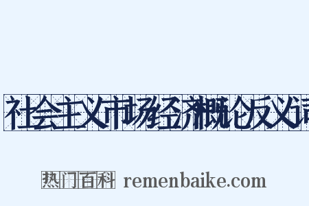 社会主义市场经济概论反义词是什么意思的图片